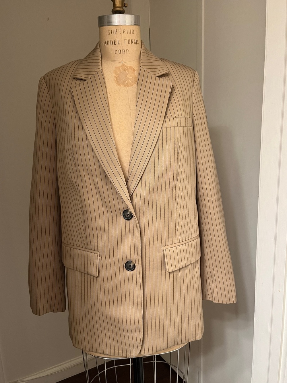 Everlane Camel Pinstripe Oversized Blazer [SIZE 00]
